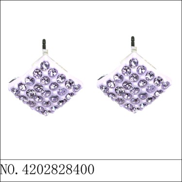 Earrings Purple