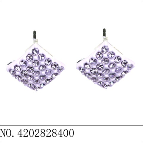 Earrings Purple