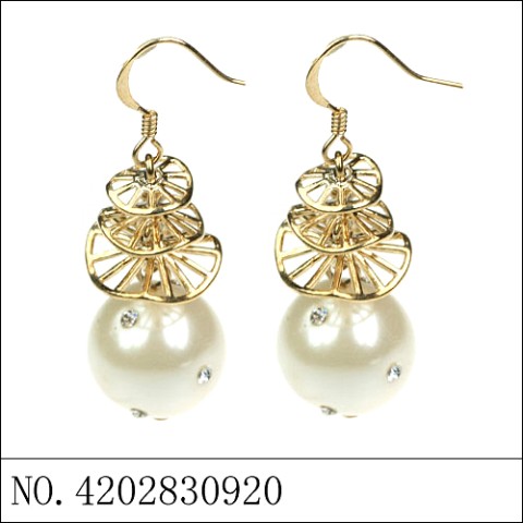 Earrings Gold