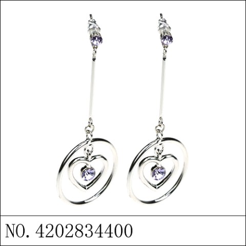 Earrings Purple