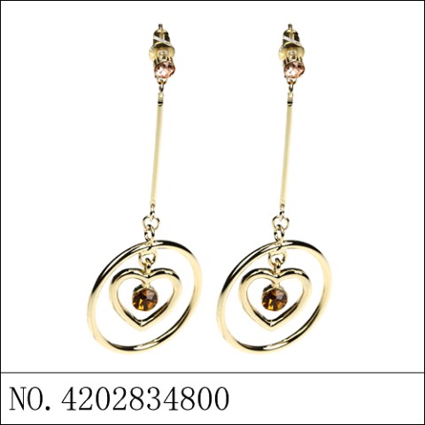 Earrings Brown