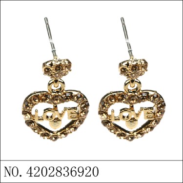 Earrings Gold