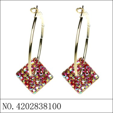 Earrings Red