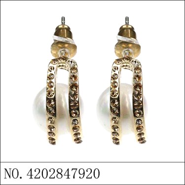 Earrings Gold