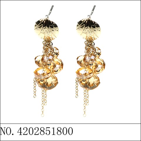 Earrings Brown