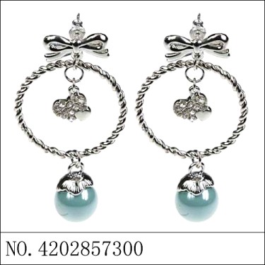 Earrings Blue