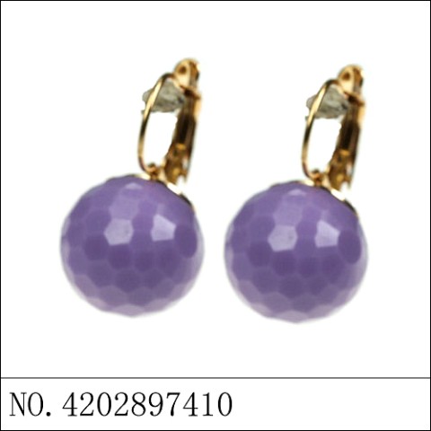 Earrings Purple