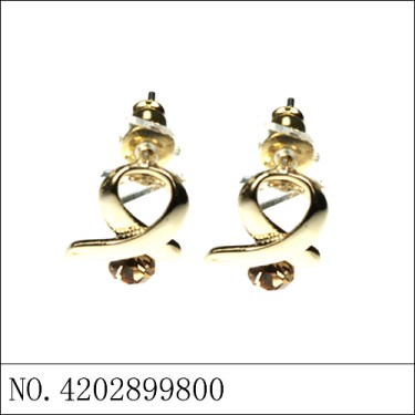 Earrings Brown