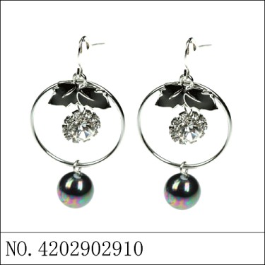 Earrings Black