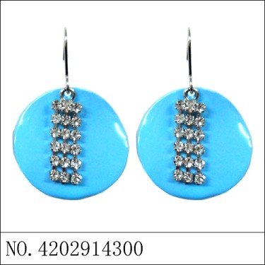 Earrings Blue