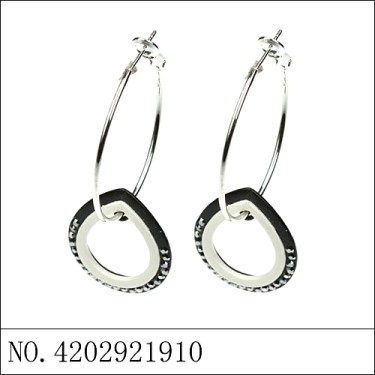 Earrings Black