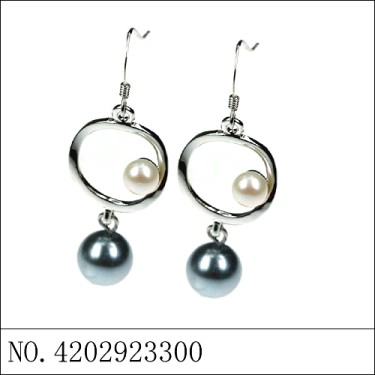 Earrings Blue