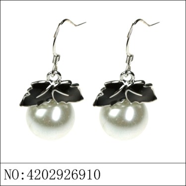 Earrings Black