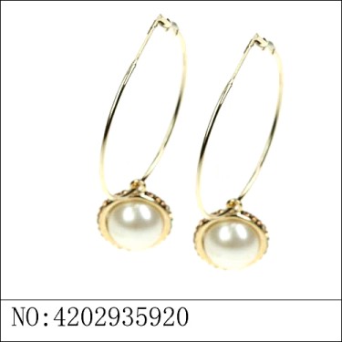 Earrings Gold