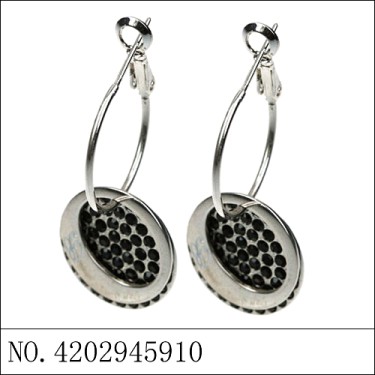 Earrings Black