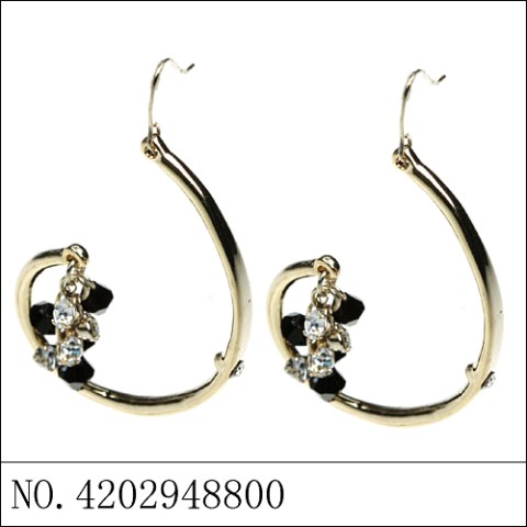 Earrings Brown