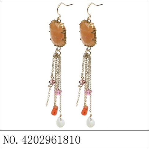 Earrings Brown