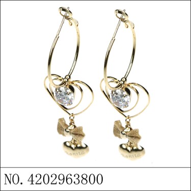 Earrings Brown