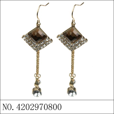 Earrings Brown