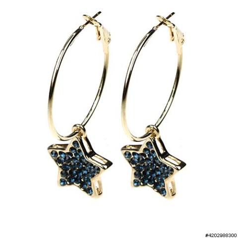 Earrings Blue