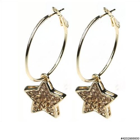 Earrings Brown