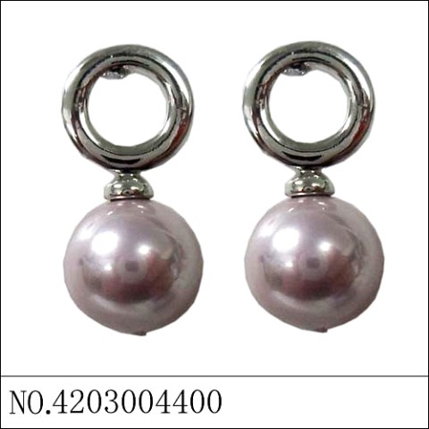 Earrings Purple