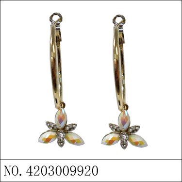 Earrings Gold