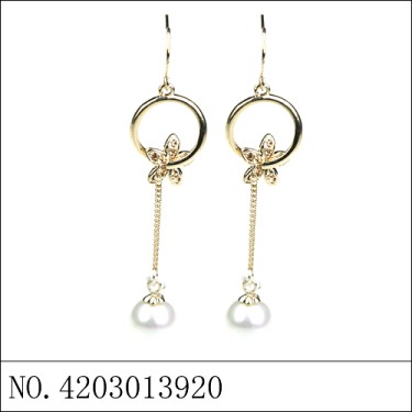 Earrings Gold