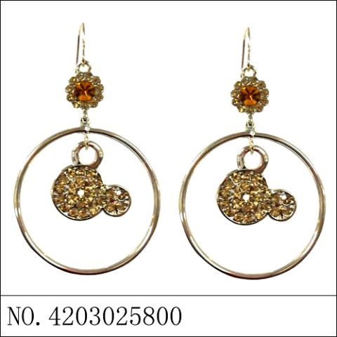 Earrings Brown