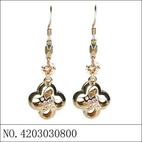 Earrings Brown