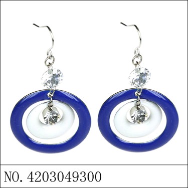 Earrings Blue