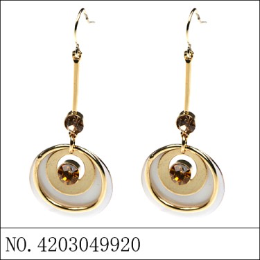 Earrings Gold