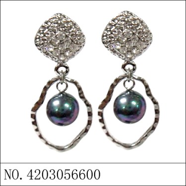 Earrings Gray