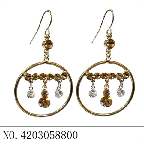 Earrings Brown