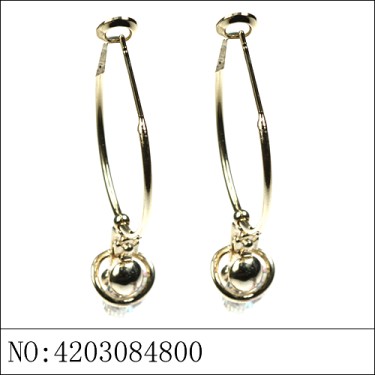 Earrings Brown