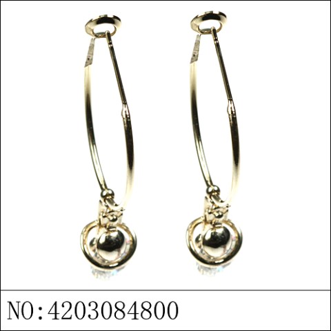 Earrings Brown