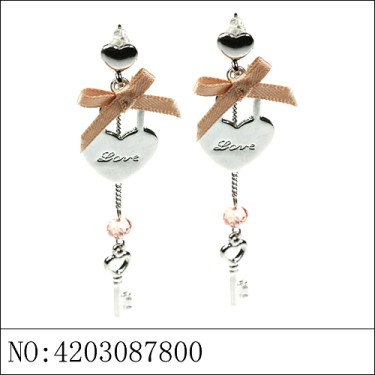 Earrings Brown