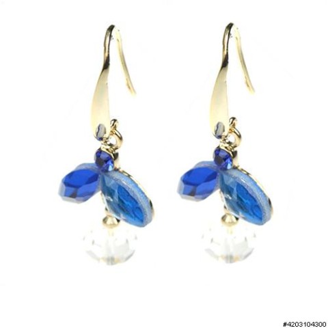 Earrings Blue