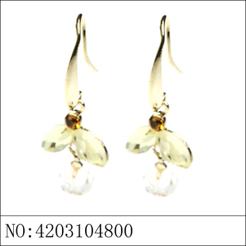 Earrings Brown