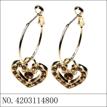 Earrings Brown