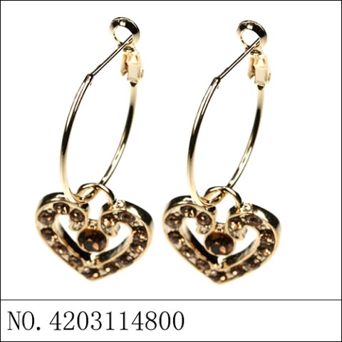 Earrings Brown