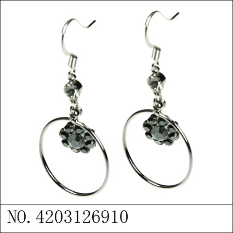 Earrings Black