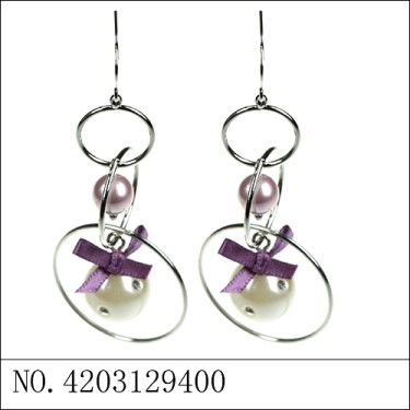 Earrings Purple