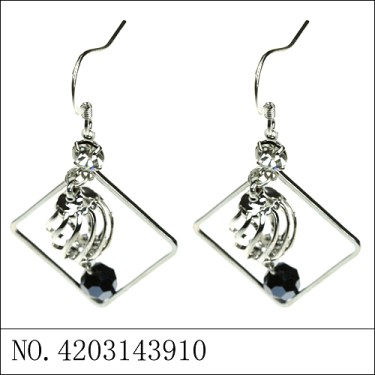 Earrings Black