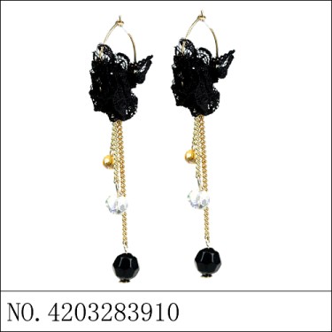 Earrings Black