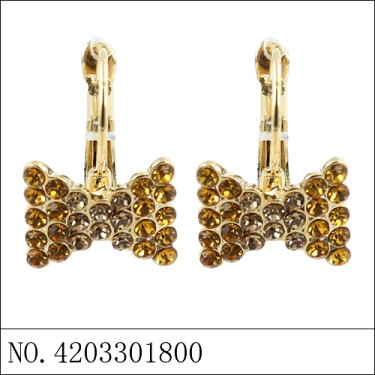 Earrings Brown