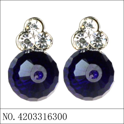 Earrings Blue