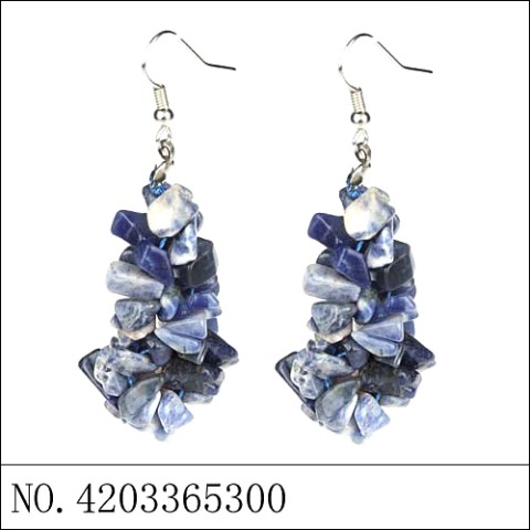 Earrings Blue