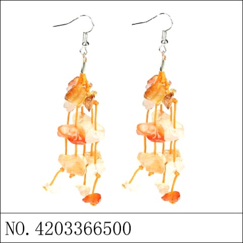 Earrings Orange