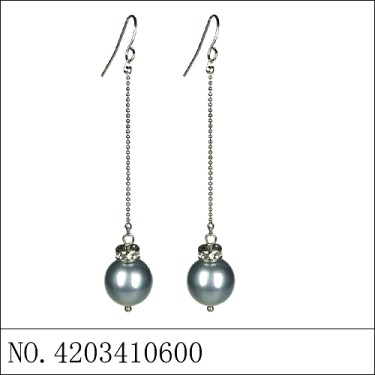 Earrings Gray